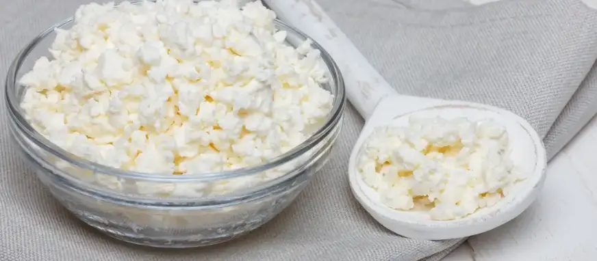 Homemade cottage cheese recipe